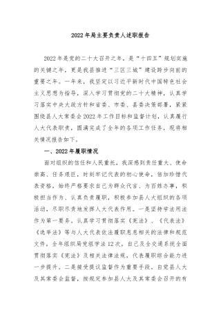 2022年局主要负责人述职报告