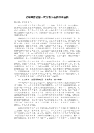 公司共青团第一次代表大会领导讲话稿