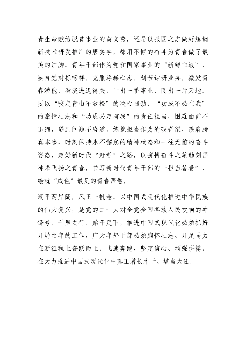 2023年青年干部座谈交流发言_第3页