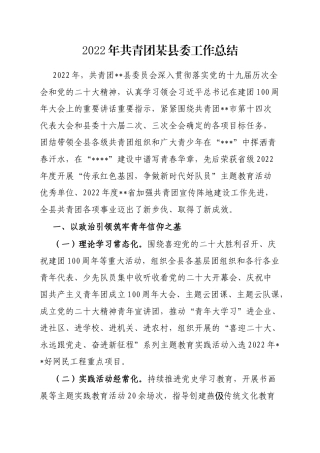 2022年共青团某县委工作总结