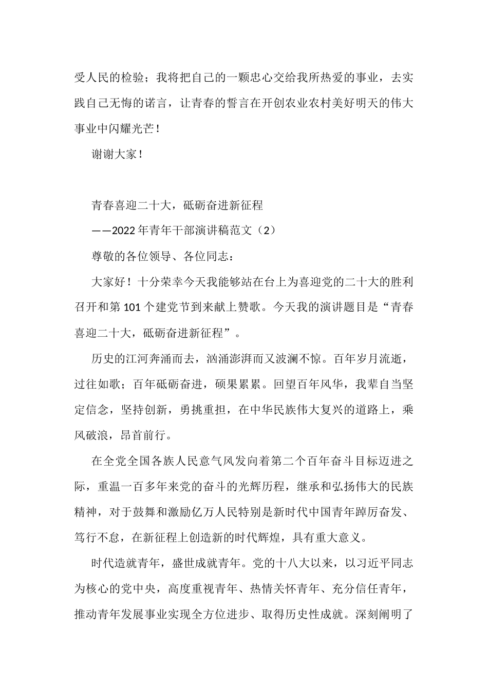 2022年青年干部演讲稿范文6篇_第3页