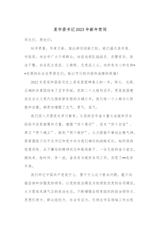 某市委书记2023年新年贺词
