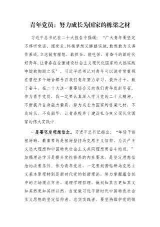 青年党员：努力成长为国家的栋梁之材