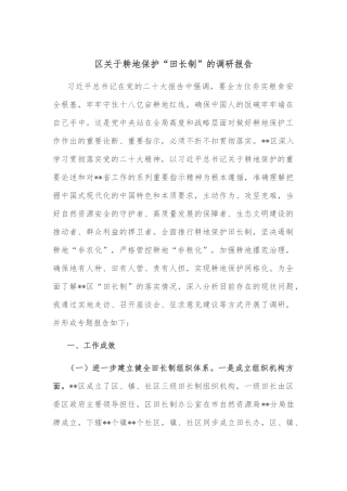 区关于耕地保护“田长制”的调研报告