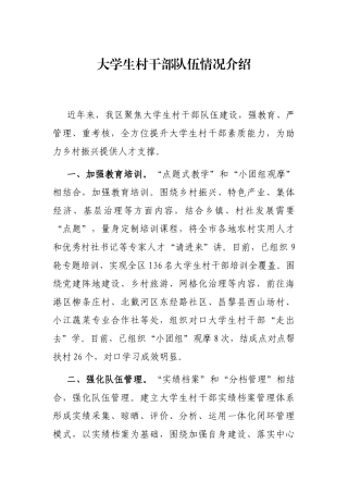 大学生村干部队伍情况介绍