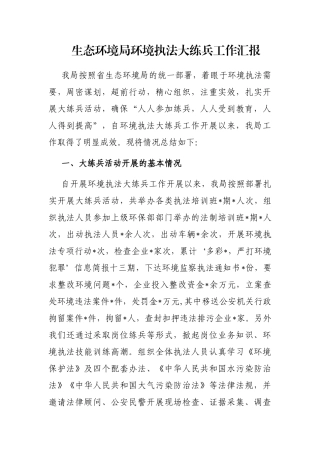 生态环境局环境执法大练兵工作汇报