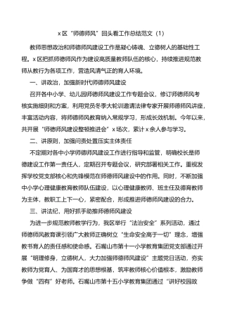师德师风专项整治回头看工作总结3篇