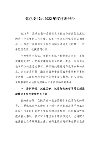 党总支书记2022年度述职报告