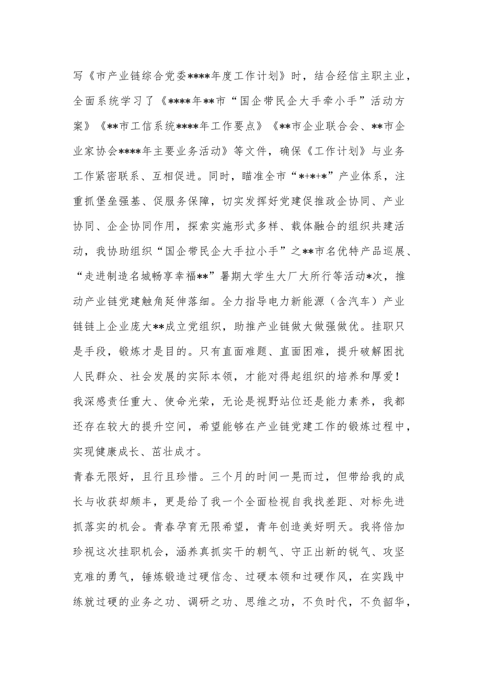 市工信局挂职干部座谈会经验交流发言材料_第3页