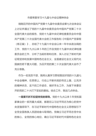 市委常委学习十九届七中会议精神体会