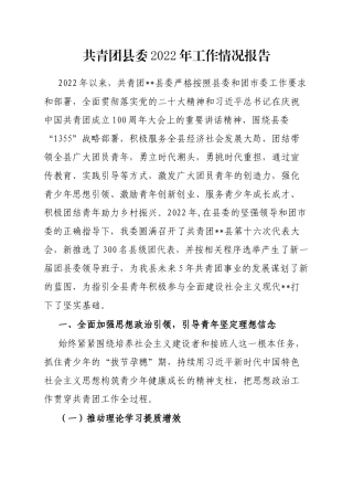 共青团县委2022年工作情况报告