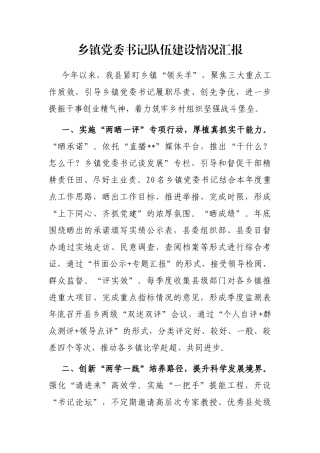 乡镇党委书记队伍建设情况汇报