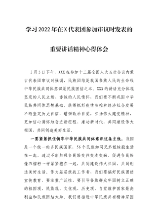 学习2022年在X代表团参加审议时发表的重要讲话精神心得体会