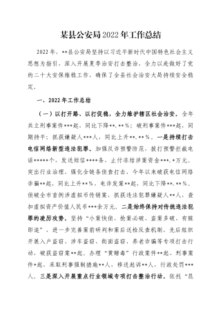 某县公安局2022年工作总结