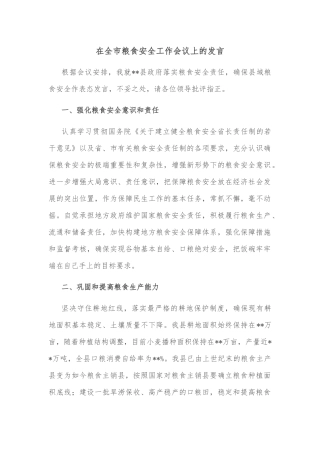 在全市粮食安全工作会议上的发言