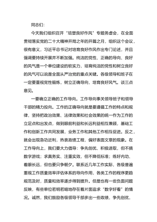 书记在“培塑良好作风”专题务虚会上的讲话