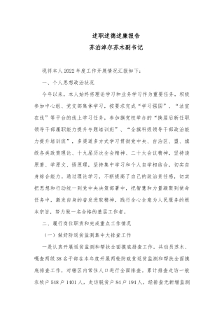 述职述德述廉报告（副书记）