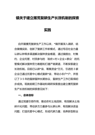 镇关于建立撂荒复耕生产长效机制的探索实践