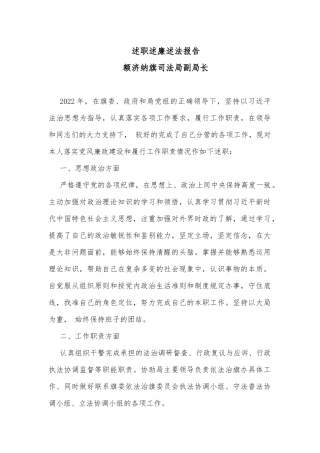 述职述廉述法报告（副局长）