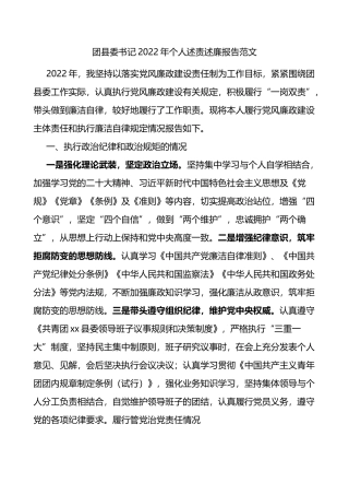 团县委书记2022年个人述责述廉报告范文