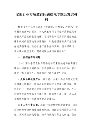 文旅行业专项教育问题检视专题会发言材料