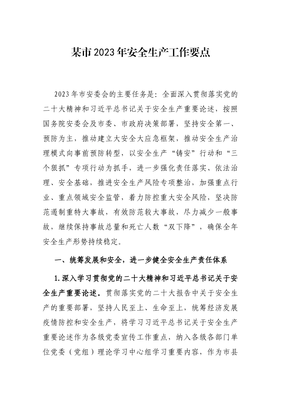 某市2023年安全生产工作要点_第1页