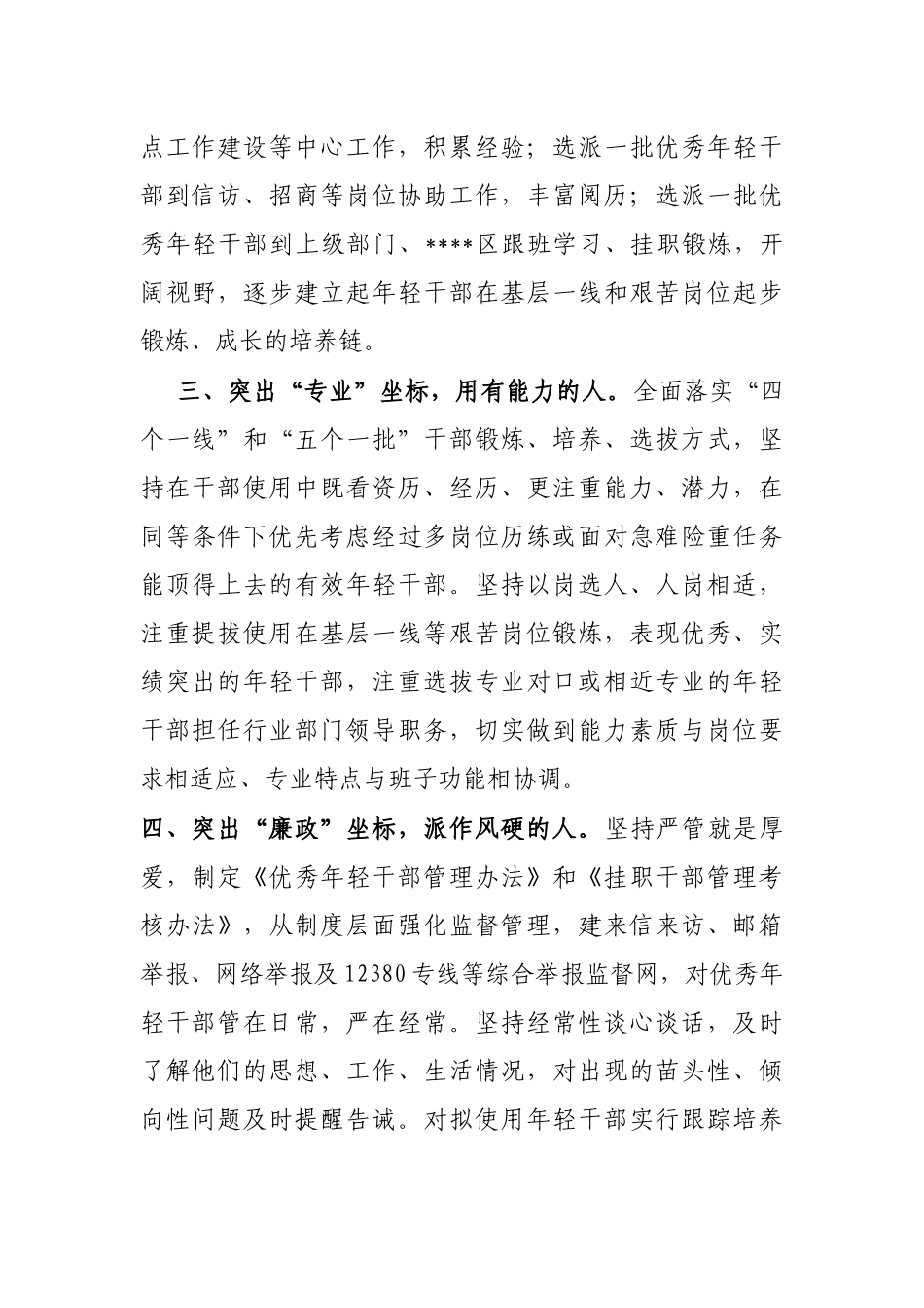 年轻干部队伍建设经验材料_第2页