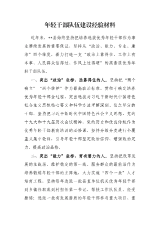 年轻干部队伍建设经验材料
