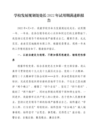 学校发展规划处处长2022年试用期满述职报告