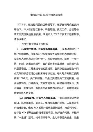 银行副行长2022年度述职报告