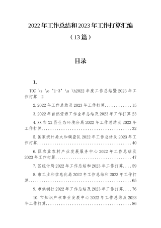 2022年工作总结和2023年工作打算汇编（13篇）