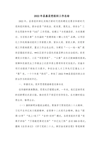 2022年县基层党组织工作总结