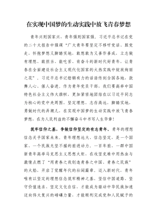 在实现中国梦的生动实践中放飞青春梦想