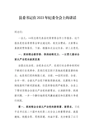 县委书记在2023年纪委全会上的讲话