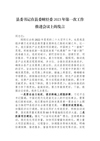 县委书记在县委财经委2023年第一次工作推进会议上的发言