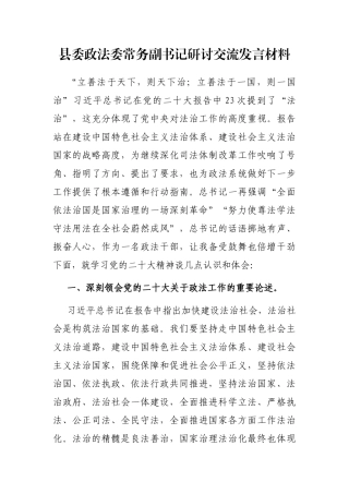 县委政法委常务副书记研讨交流发言材料