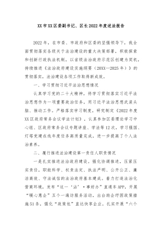 XX市XX区委副书记、区长2022年度述法报告