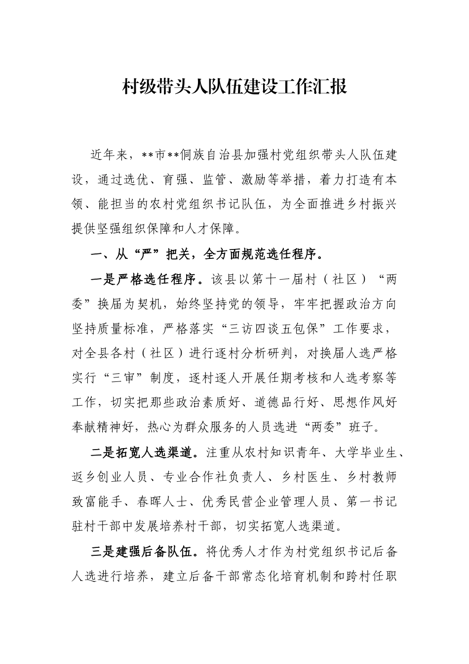 村级带头人队伍建设工作汇报_第1页