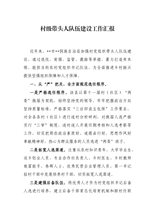 村级带头人队伍建设工作汇报