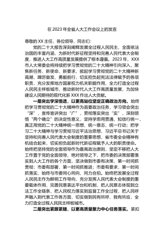 在2023年全省人大工作会议上的发言