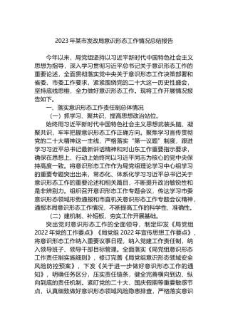 2023年某市发改局ysxt工作情况总结报告