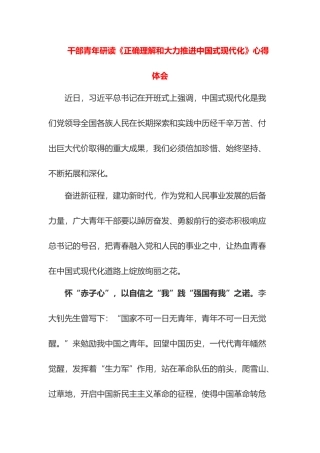 2023年学习《正确理解和大力推进中国式现代化》心得体会（5篇）