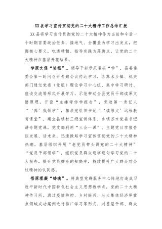 XX 县学习宣传贯彻党的二十大精神工作总结汇报
