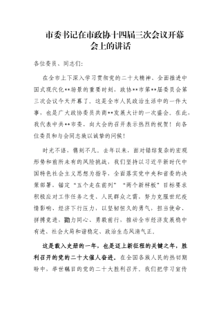 市委书记在市政协十四届三次会议开幕会上的讲话