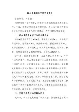 XX被巡察单位党组工作汇报