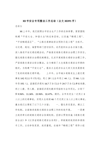 XX市安全专项整治工作总结（全文30391字）