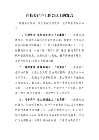 在县委经济工作会议上的发言