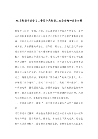 XX县纪委书记学习二十届中央纪委二次全会精神发言材料