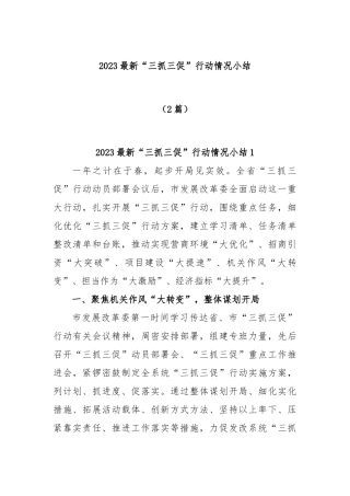 (2篇)2023最新“三抓三促”行动情况小结