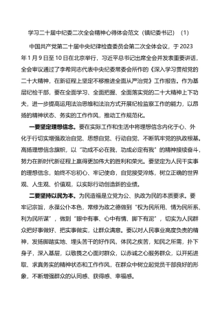 3篇学习二十届中纪委二次全会精神心得体会